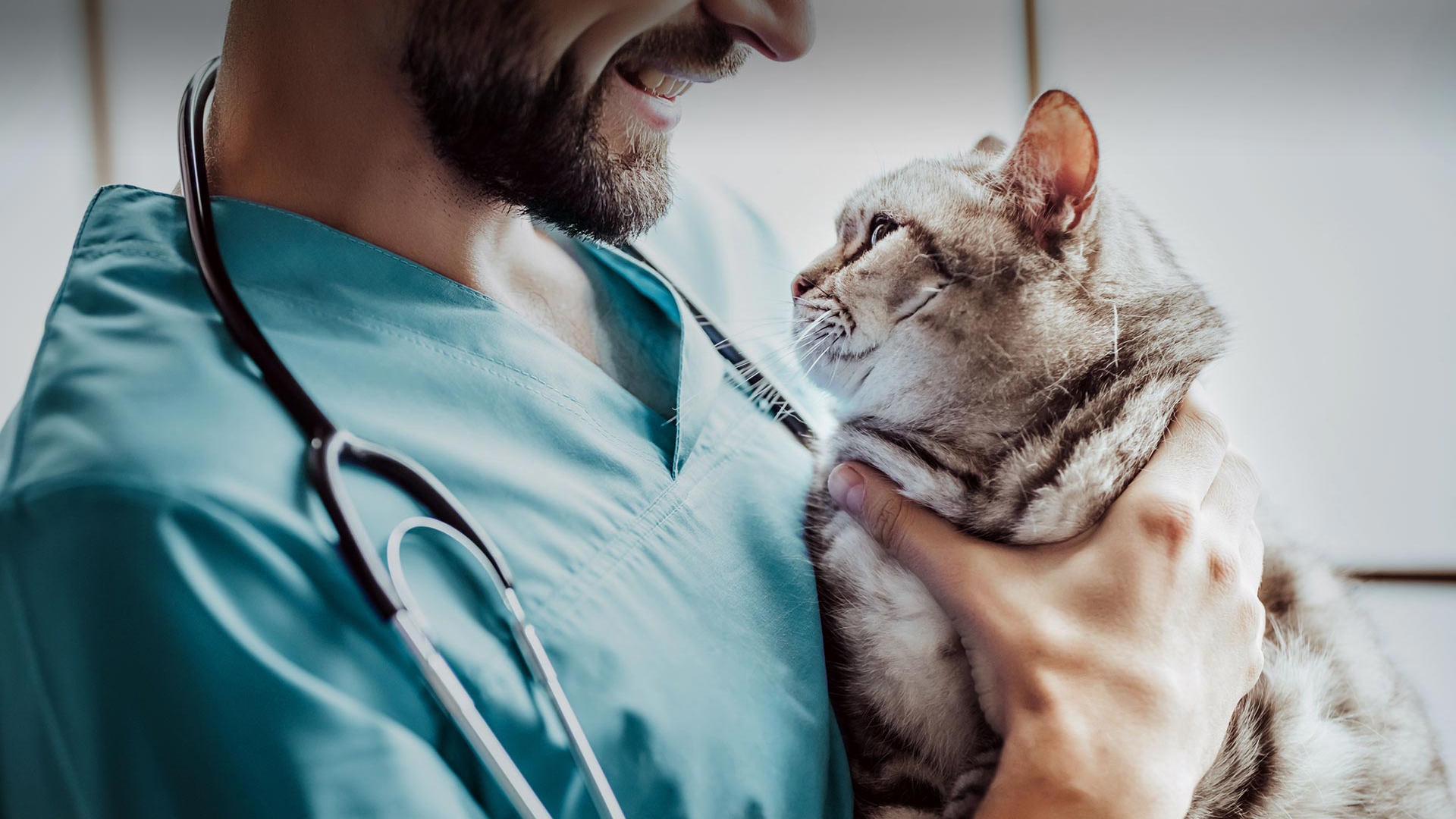 Safranbolu Veteriner